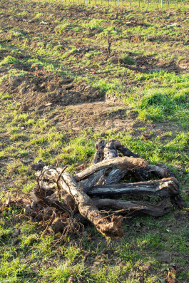 It’s helpful to have a starting point.¹