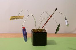 It’s helpful to have a starting point.¹