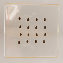 It’s helpful to have a starting point.¹