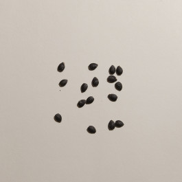 It’s helpful to have a starting point.¹