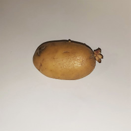 It’s helpful to have a starting point.¹