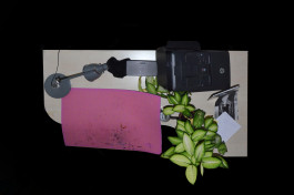 It’s helpful to have a starting point.¹